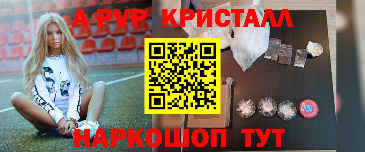 A-PVP СК Заводоуковск
