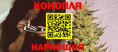 скорость Бийск