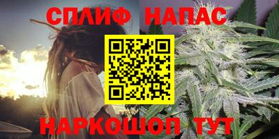 скорость Бийск