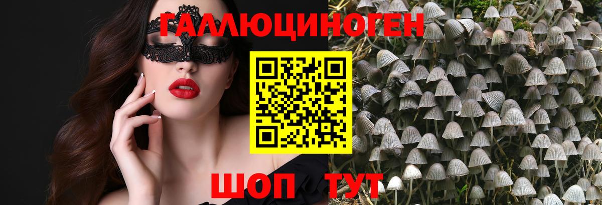 Галлюциногенные грибы Psilocybine cubensis Заводоуковск